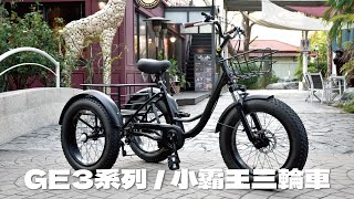 德爾綠能【GE3系列 / 小霸王三輪車】酷炫霸氣 胖胎三輪車 電動三輪車 穩固好騎 三輪車 工廠公司載貨車