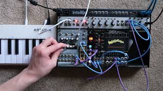 Jelllybeans - Diatonic Quantizing Arpeggiator for Daisy Patch Net Worth