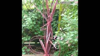 Lets Stay Together.wmv