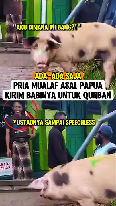 Ada-ada aja‼️Pria mualaf kirim hewan ini untuk qurban idul adha🤣 #qurban #iduladha2025 #muslimpulsee