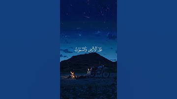 اكتب شيء تؤجر عليه❤️// قران كريم | عبد الرحمن مسعد
