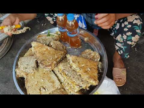 Bee Brood for