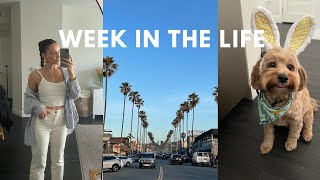 Vlog: Easter week! Dealing with a pinched nerve, an Amazon haul, lots of Roo cameos🐶 by Camryn Michelle Glackin 636 views 1 year ago 27 minutes