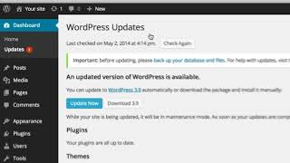 Best Web Design Company Adelaide - Wordpress Instructional Video 7 Running Updates