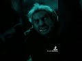 Harry potter described