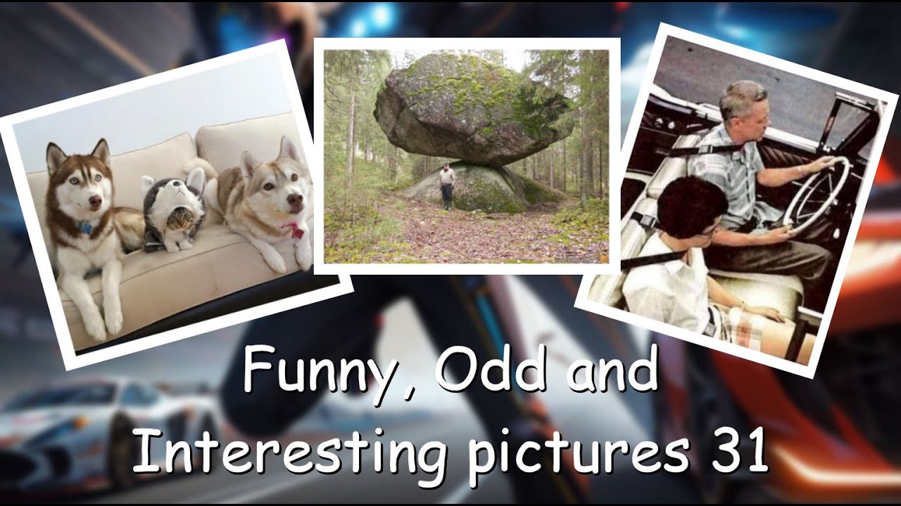 Funny, Odd, Interesting Pictures Video 31
