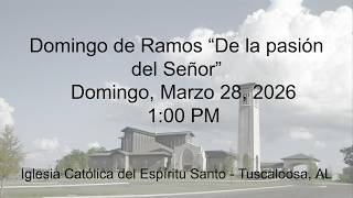 Domingo de Ramos “De la pasión del Señor”