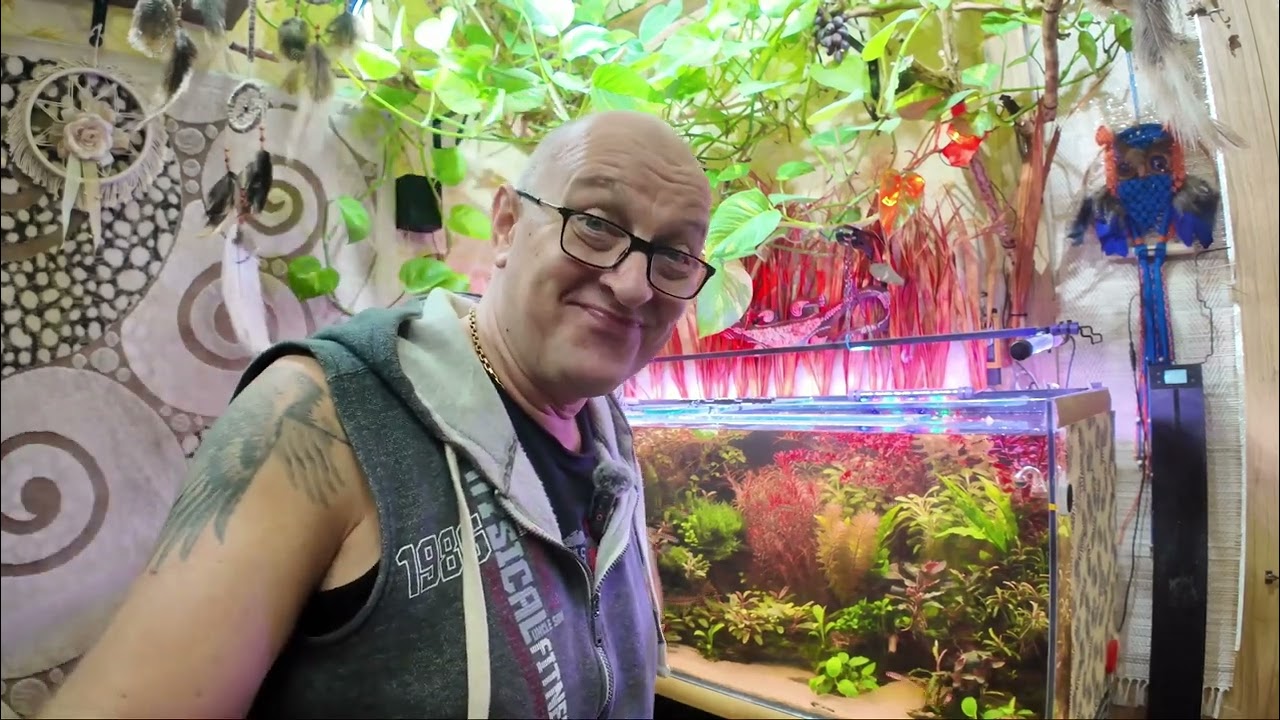 Аквариумный рай Часть 7 Реанимация аквариума . Подмена воды .