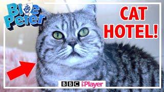 Richie Works in a CAT HOTEL! | Blue Peter