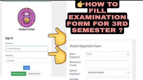 How to fill examination form for 3rd semester du | regular | step by step