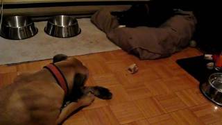 MVI_5147.AVI