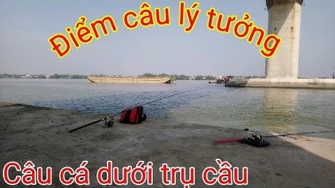 Câu cá cầu Mỹ lợi /ngày cuối năm /lên toàn cá Úc bự/Brackish fishing