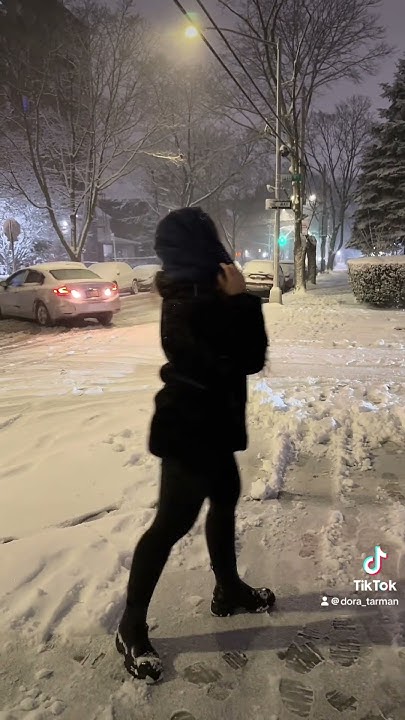 Зимний Нью Йорк. Был снегопад ️ ️😍#snow #winter #newyork - YouTube