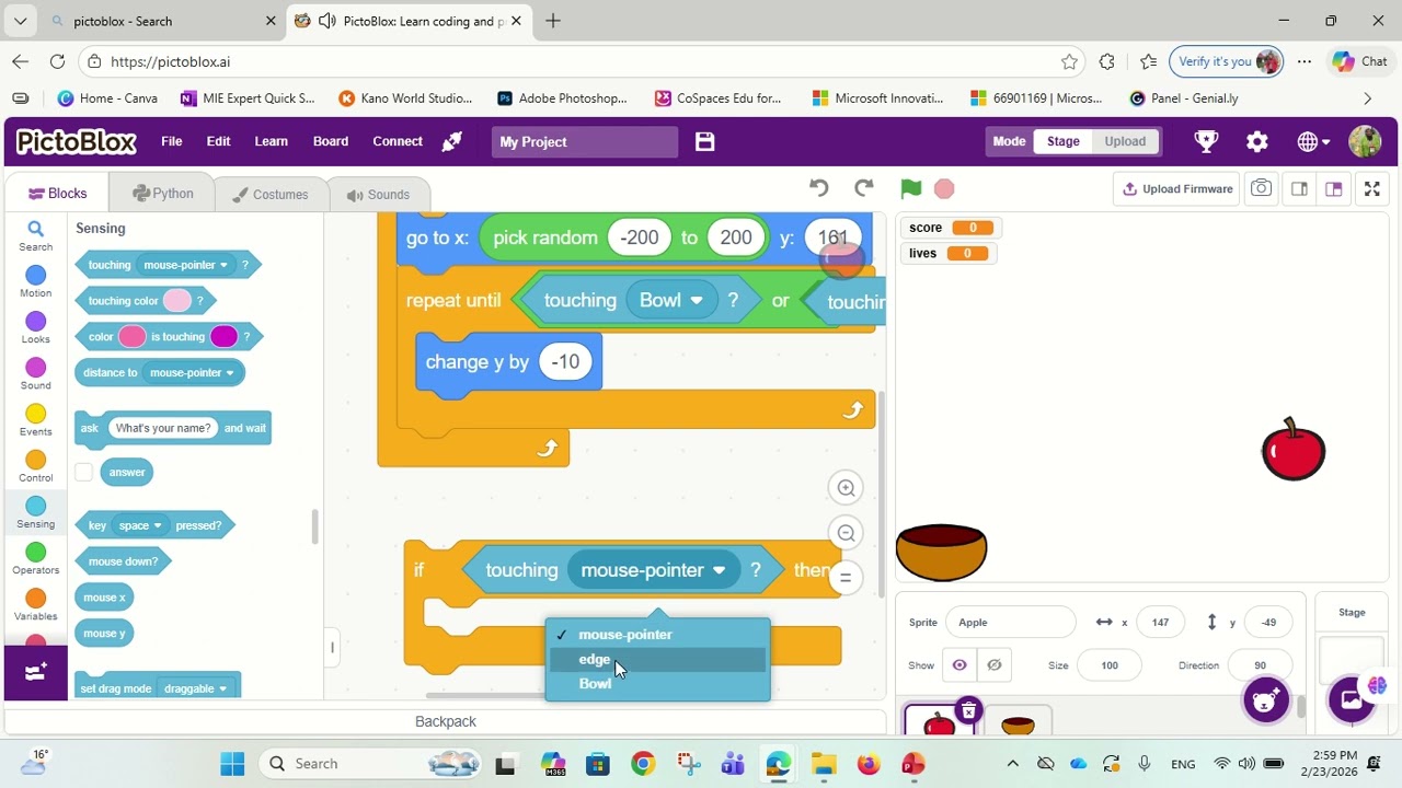 التفاحة و السلة