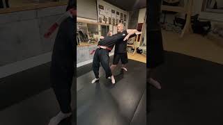 Seicho Jutsu self defense scenario Ken Scott, Michael Petrella