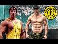 Workout at the golds gym injury meals tips lifestyle in usa