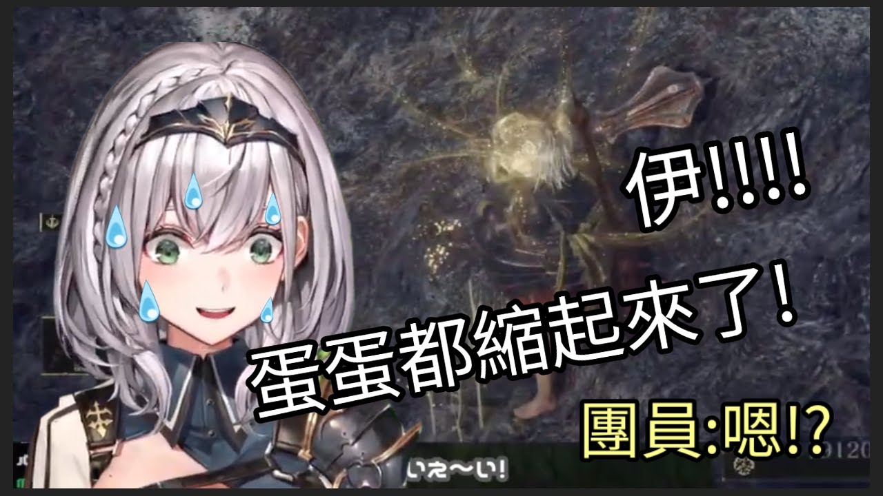 全Lost女神找上團長？在墜落邊緣撿19萬盧恩，緊張到“蛋蛋”都縮了起來的團長【白銀諾艾爾/白銀ノエル】