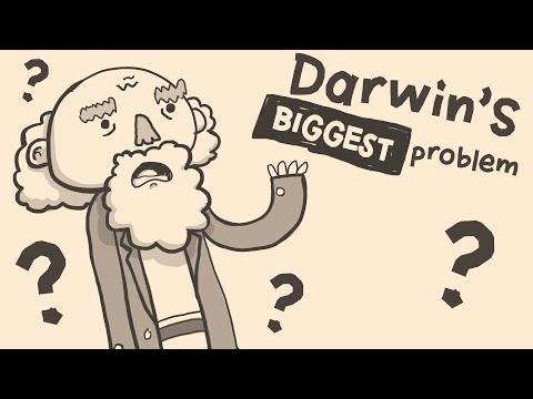 Darwin’s Biggest Problem | Long Story Short: Evolution