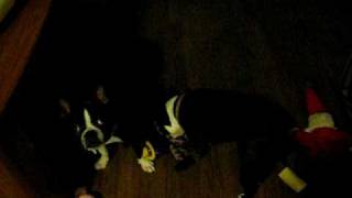 Paisley & Lila with their Henry the Octopus Toy.AVI