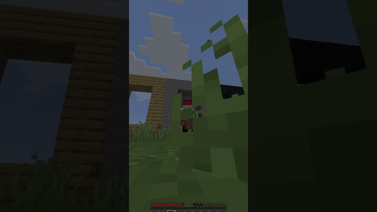 Minecraft But, there's CUSTOM Portals 