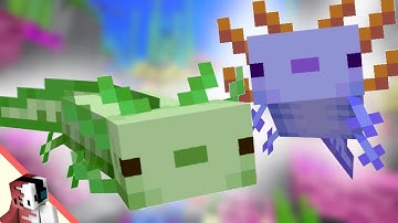 Minecraft Axolotl Hidden Features