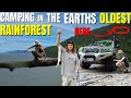 We did NOT expect this! Camping in the Daintree Rainforest Far North Queensland! 4x4 & offroad van