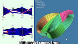 Famous Visual Signature of High-Dimensional Geometry in Parallel Coordinates Wealth