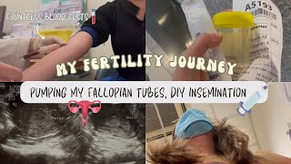 My Fertility Journey Ep 3 - Cost of KKH Subsidised, Pumping my Fallopian tubes, DIY Insemination