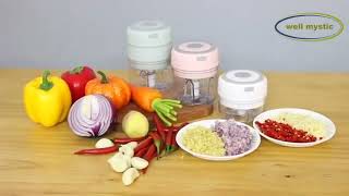 Mini Electric Chopper