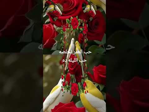 كلمات تخلي القلب يعيش العشق مع أم كلثوم كلام من القلب كلام من سومة