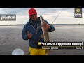 Что делать с крупными минноу? Алексей Шанин Часть 1. Anglers Practical