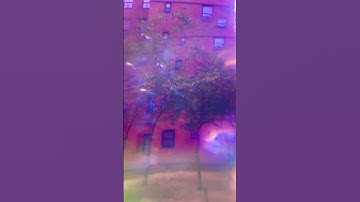 Fractal Trees