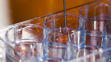 How to Set Up the CFU Assay for Custom Hematopoietic Training Courses Using SmartDish™