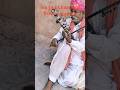 Amer Fort Rajasthan folk singer #shorts #shortsfeed #short #rajasthan #tourism #music #travel #amer
