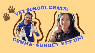 Vet school chat: Surrey vet student Gemma Levy *interview* *some advice*