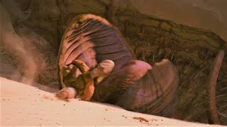 Now In 4K Sarlacc Eats People Swvi