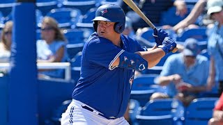 Peyton Williams 2024 Minor League Highlights!