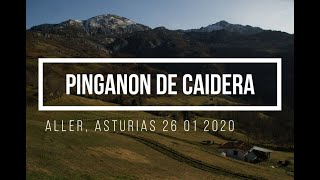 Pinganon de Caidero, Aller