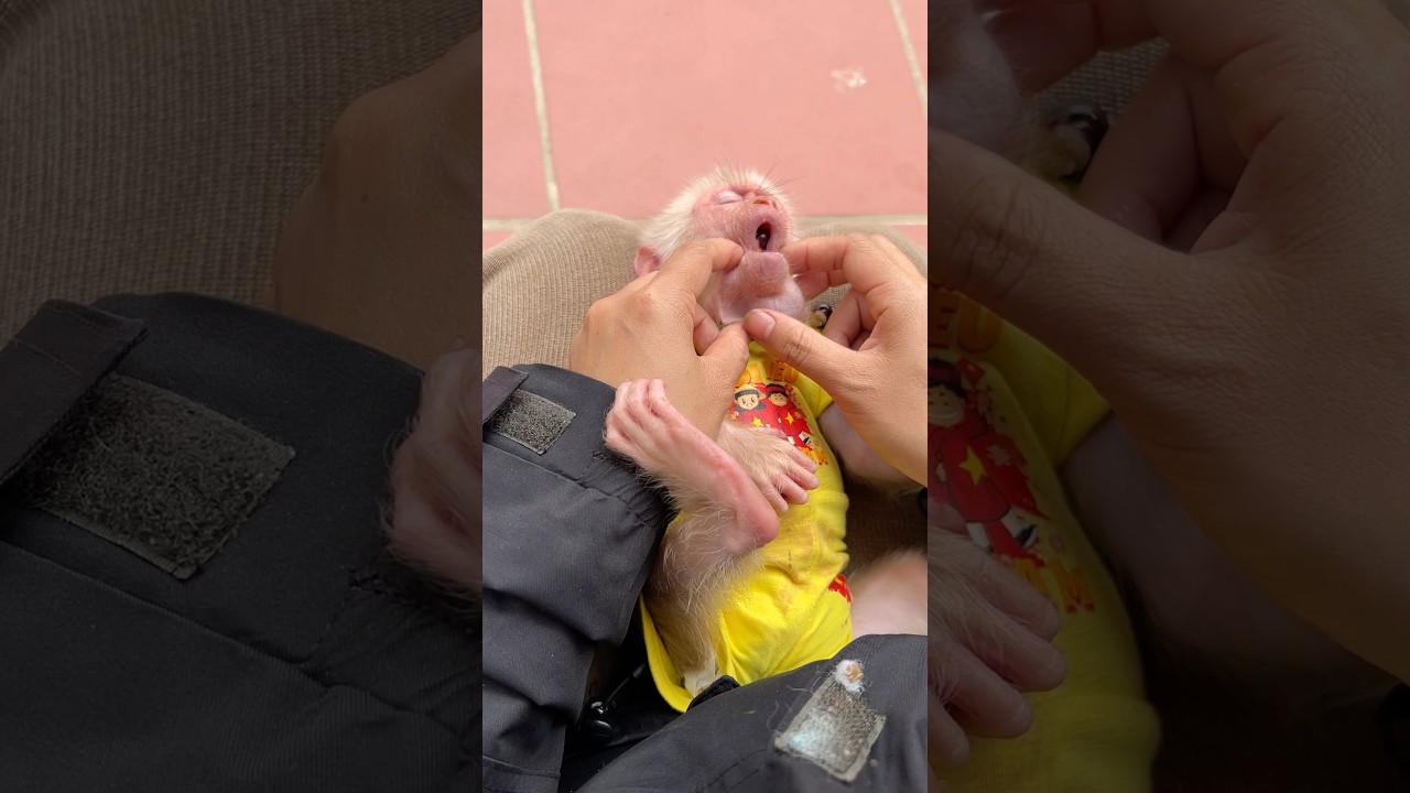 My mother had a very hard time getting the poison out of Mimi's mouth.