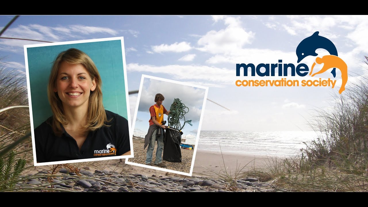 MCS, M&S and you -- Big Beach Clean-up