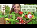 Cultivos rpidos y abundantes para ansiosos