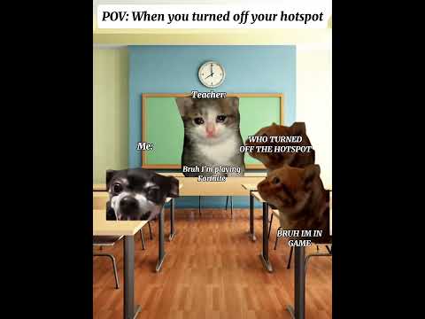 CAT MEMES 🐱 When you turned off your hotspot 😂. #catmemes #meme
