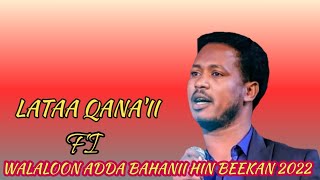 Lataa Qana'ii fi Walaloon Adda bahanii hin beekan 2022