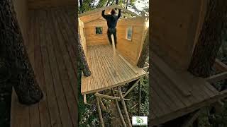 I Built a Luxury Treehouse with a Million-Dollar View! 🌳✨ #shorts