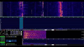 SWL OLE Miss Amateur Radio Net 2026 02 28 200815 screenshot 4