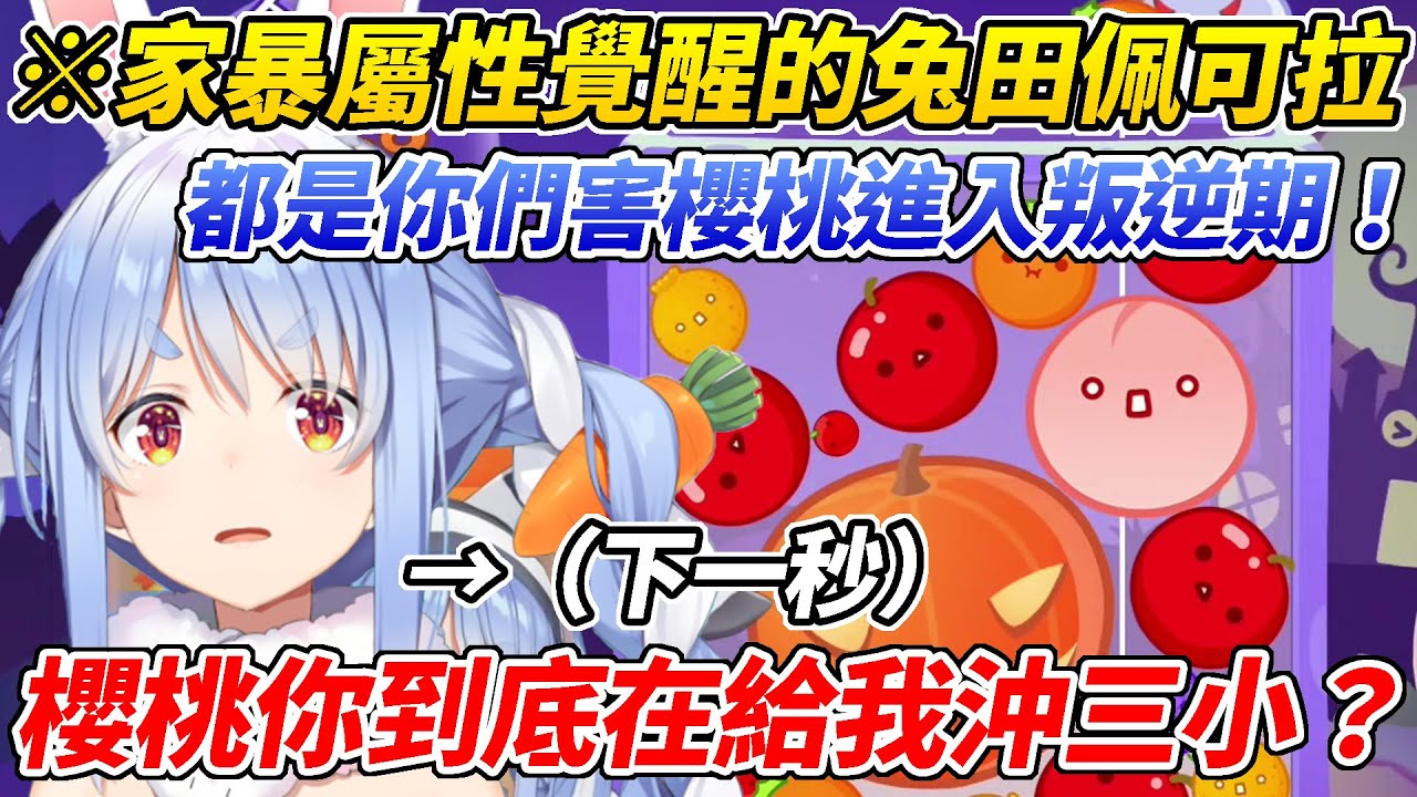 玩期間限定西瓜遊戲發現櫻桃進入叛逆期的族長堅決否認自己的惡行但隨即就原形畢露逐漸覺醒了家暴屬性ww【兔田佩可拉／兎田ぺこら】【ホロライブ切り抜き】【HOLOLIVE中文】