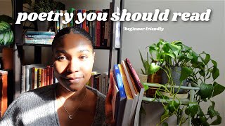 beginner friendly poetry recommendations to spark your love of reading poetry