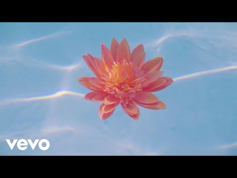 Nina Nesbitt - Somebody Special (Official Audio)