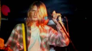 Download Lagu Nirvana - Love Buzz (Live in Vienna/1989) MP3