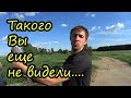 Находка // Такого мы еще не видели // Гагара // Посадка помидор и огурцов // Семья Лях